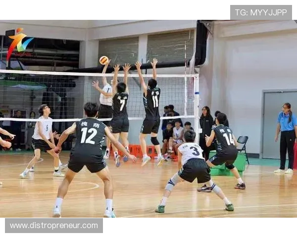 杭州排球队在大师赛中的默契配合展现团队实力与战术智慧